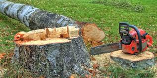 Reliable Hayward, WI Tree Removal and Landscaping Services Solutions